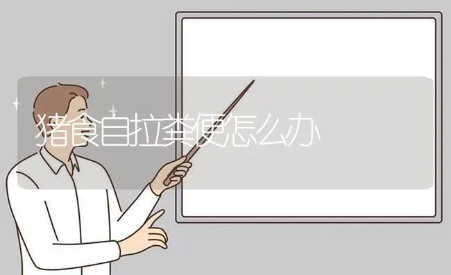 猪食自拉粪便怎么办 | 家畜养殖