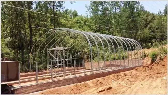 大棚养猪技术 | 动物饲养方法