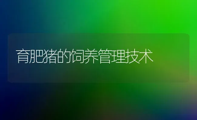 育肥猪的饲养管理技术 | 家畜养殖