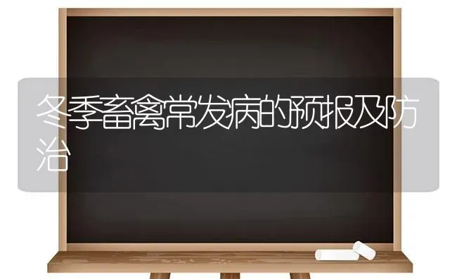 冬季畜禽常发病的预报及防治 | 家禽养殖