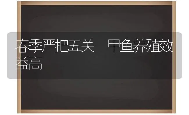 春季严把五关　甲鱼养殖效益高 | 淡水养殖