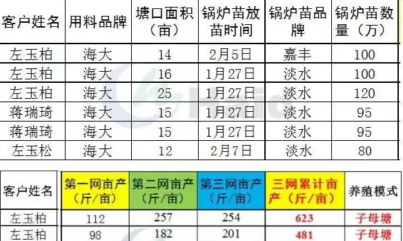 模式为王：子母塘罗氏沼虾养殖的关键点究竟在哪里？