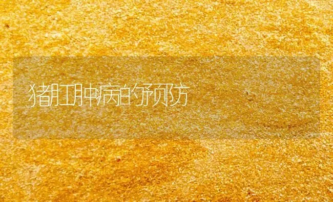 猪肛肿病的预防 | 家畜养殖