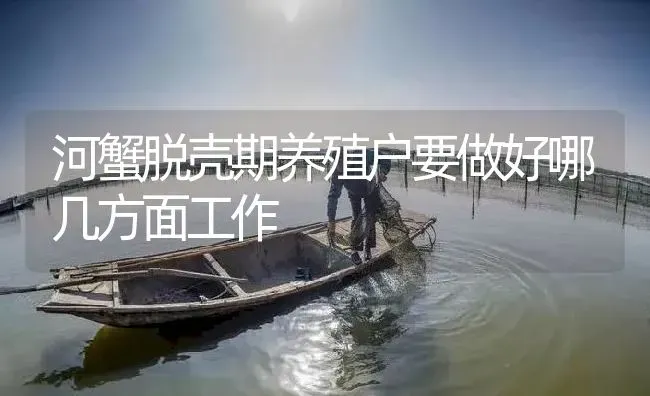 河蟹脱壳期养殖户要做好哪几方面工作 | 淡水养殖