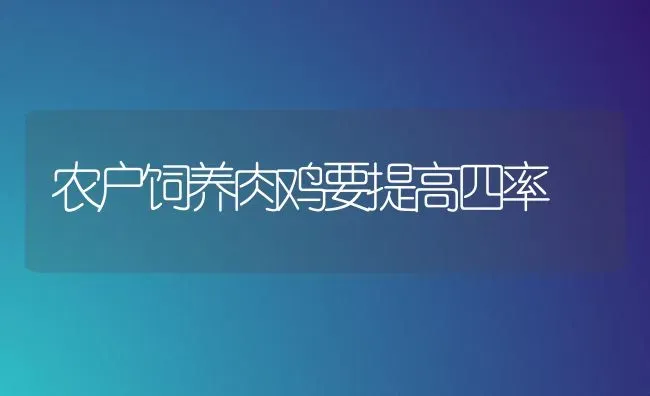 农户饲养肉鸡要提高四率 | 家禽养殖