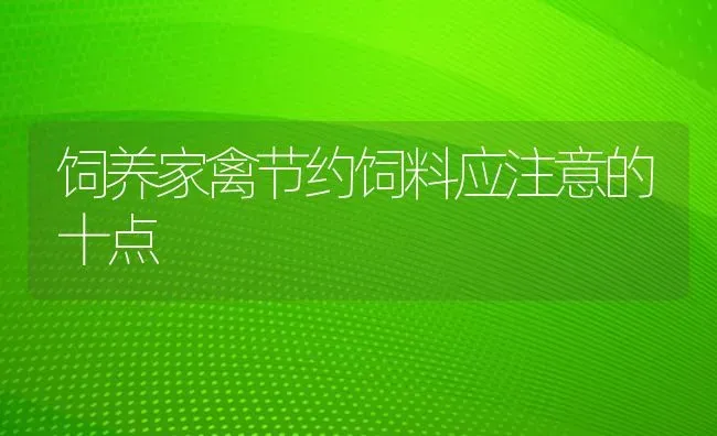 饲养家禽节约饲料应注意的十点 | 动物养殖饲料