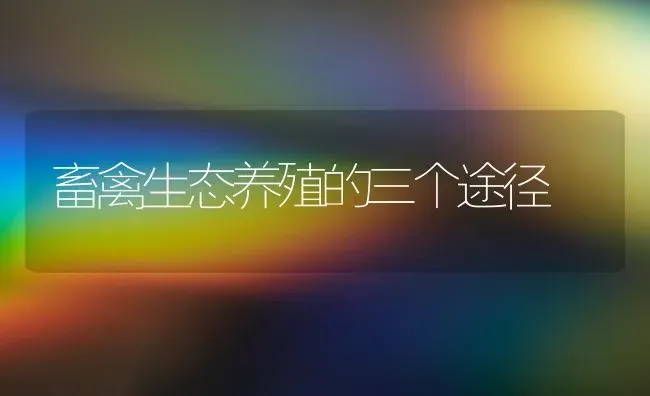 畜禽生态养殖的三个途径 | 家禽养殖