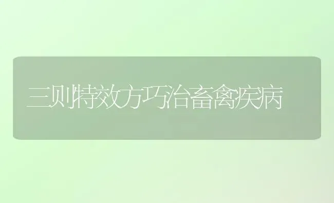 三则特效方巧治畜禽疾病 | 家禽养殖