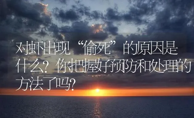 对虾出现“偷死”的原因是什么？你把握好预防和处理的方法了吗？ | 海水养殖