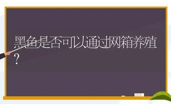 黑鱼是否可以通过网箱养殖？ | 淡水养殖