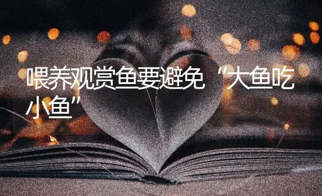 喂养观赏鱼要避免“大鱼吃小鱼” | 淡水养殖
