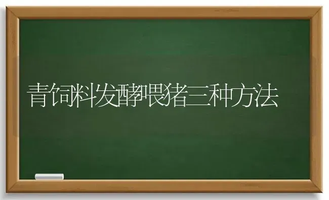 青饲料发酵喂猪三种方法 | 家畜养殖