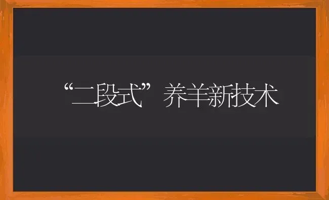 “二段式”养羊新技术 | 家畜养殖