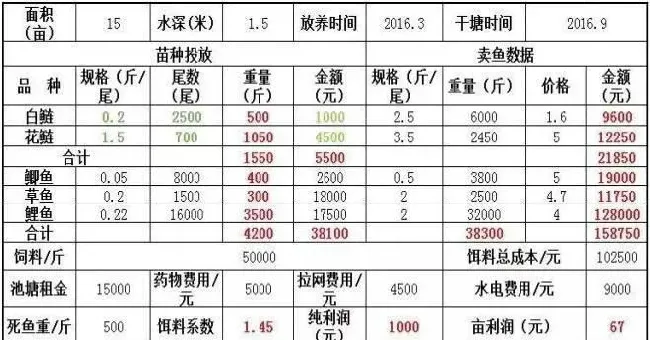 鲤鱼养殖业深陷泥沼，天津海大“二茬鱼”模式打破僵局