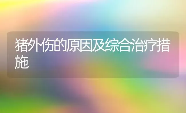 猪外伤的原因及综合治疗措施 | 家畜养殖