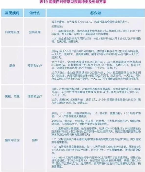 南美白对虾养殖户如何做好病害防控工作