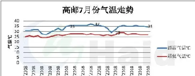 模式为王：子母塘罗氏沼虾养殖的关键点究竟在哪里？