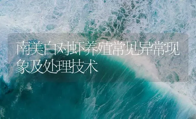 南美白对虾养殖常见异常现象及处理技术 | 海水养殖