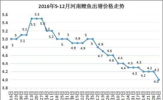鲤鱼价格持续下跌，到底还能不能养？