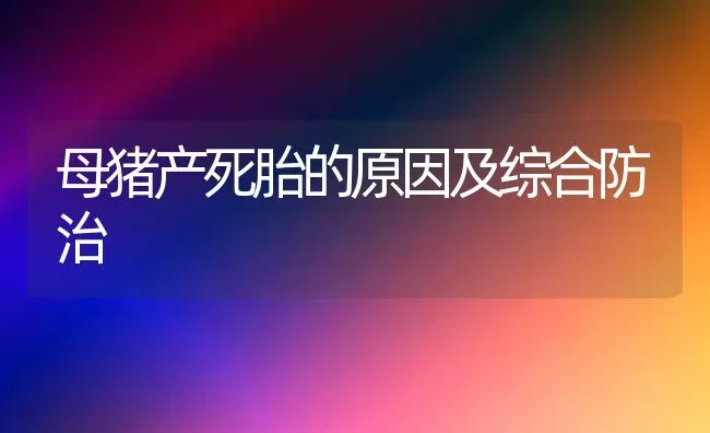 母猪产死胎的原因及综合防治 | 家畜养殖