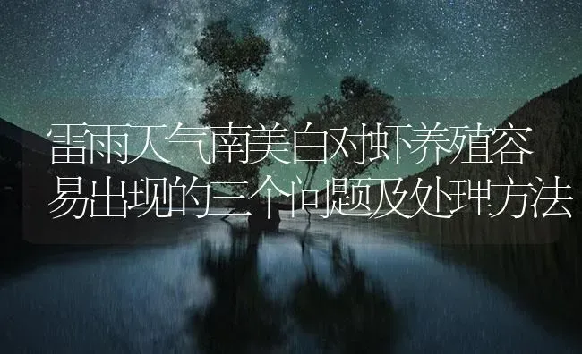 雷雨天气南美白对虾养殖容易出现的三个问题及处理方法 | 海水养殖