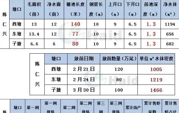 模式为王：子母塘罗氏沼虾养殖的关键点究竟在哪里？