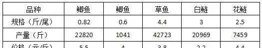 50亩鱼塘养殖草鱼鲫鱼普遍规格不小