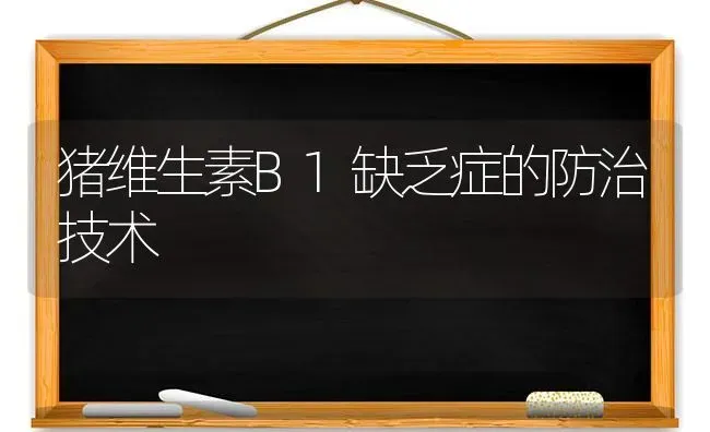 猪维生素B1缺乏症的防治技术 | 家畜养殖