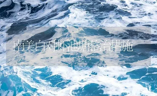 南美白对虾池塘整治措施 | 海水养殖