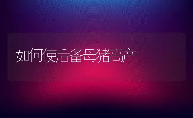如何使后备母猪高产 | 家畜养殖