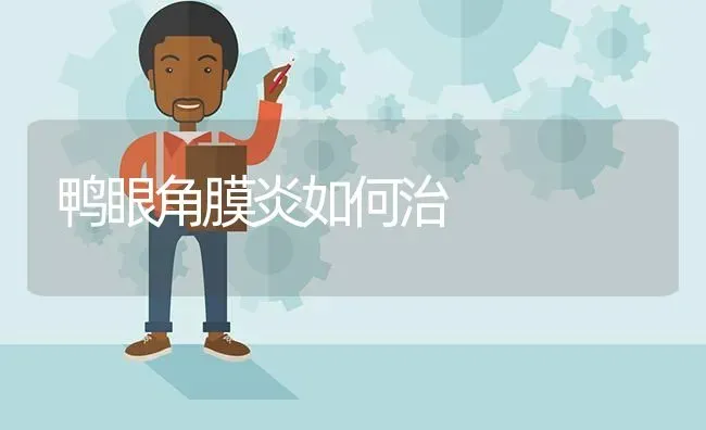 鸭眼角膜炎如何治 | 家禽养殖