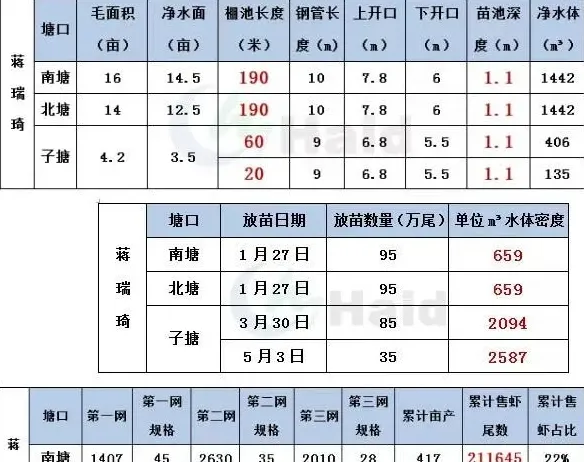 模式为王：子母塘罗氏沼虾养殖的关键点究竟在哪里？