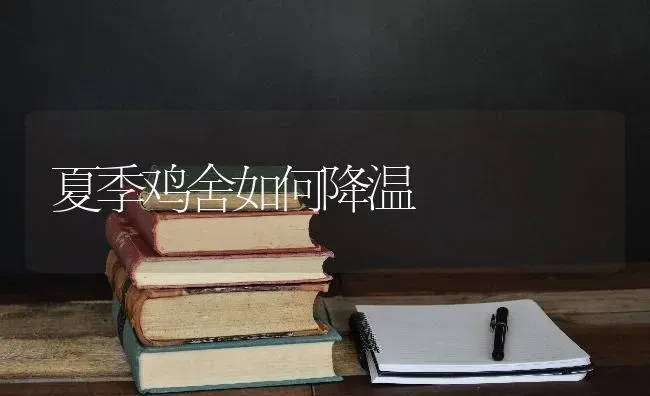 夏季鸡舍如何降温 | 家禽养殖
