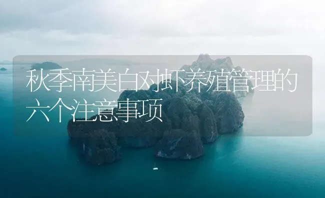 秋季南美白对虾养殖管理的六个注意事项 | 海水养殖