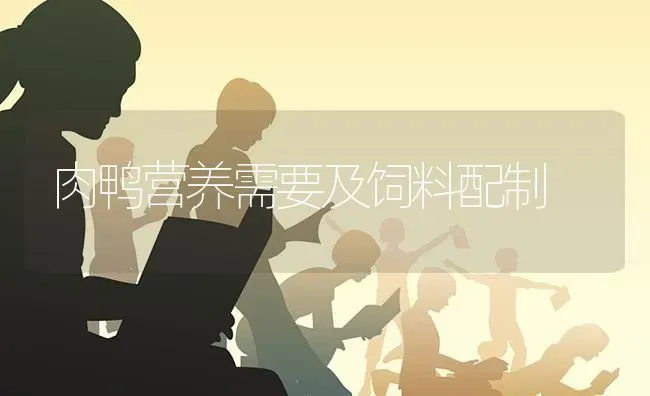 肉鸭营养需要及饲料配制 | 家禽养殖