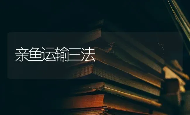 亲鱼运输三法 | 淡水养殖