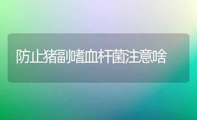 防止猪副嗜血杆菌注意啥 | 家畜养殖