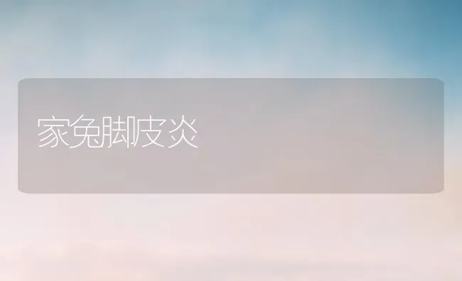 家兔脚皮炎 | 家畜养殖