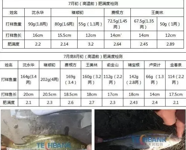 2015年天邦全熟化饲料加州鲈鱼高温生长报告