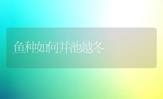 鱼种如何并池越冬 | 淡水养殖