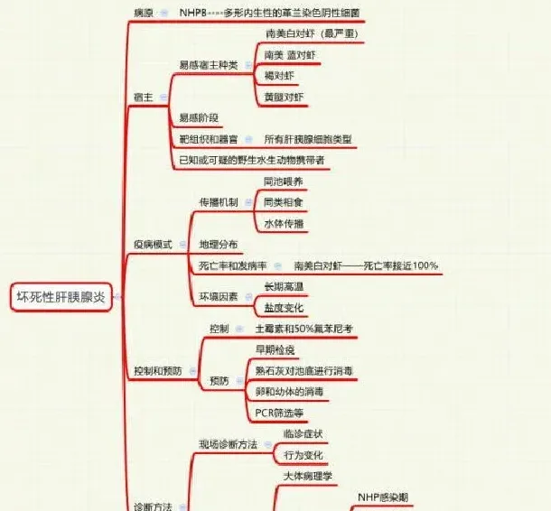 鱼病知识—坏死性肝胰腺炎