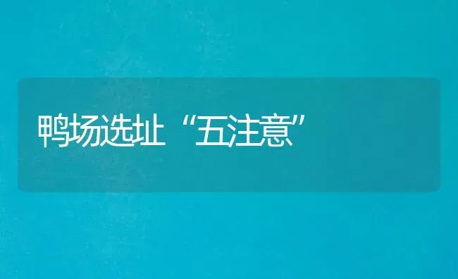 鸭场选址“五注意” | 家禽养殖