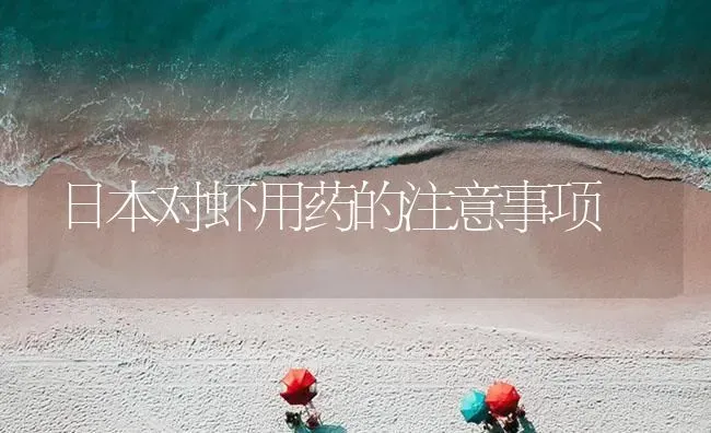 日本对虾用药的注意事项 | 养殖病虫害防治