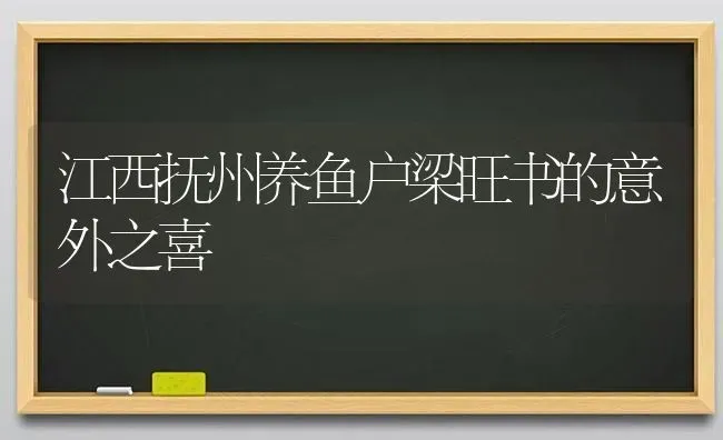 江西抚州养鱼户梁旺书的意外之喜 | 动物养殖百科