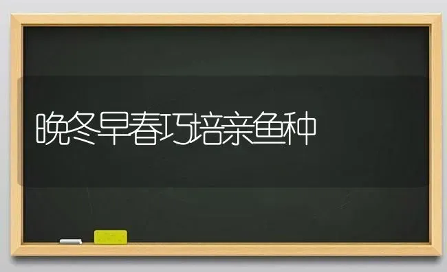 晚冬早春巧培亲鱼种 | 淡水养殖