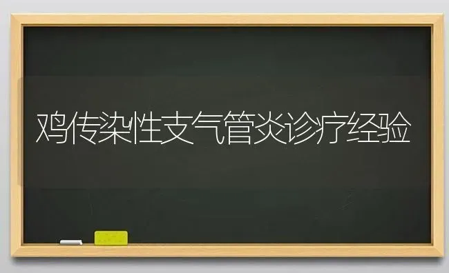 鸡传染性支气管炎诊疗经验 | 家禽养殖