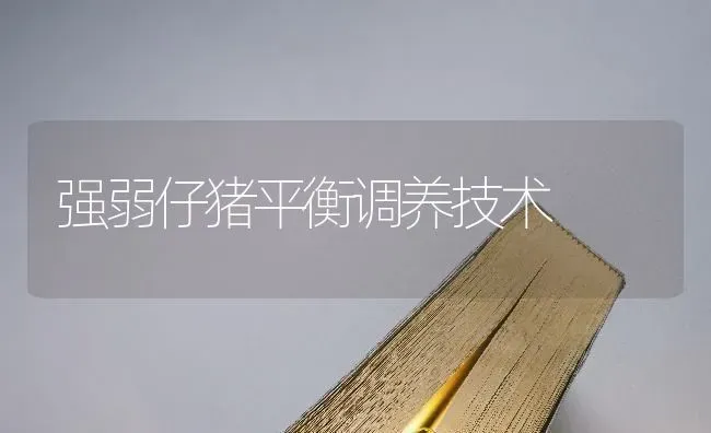 强弱仔猪平衡调养技术 | 家畜养殖