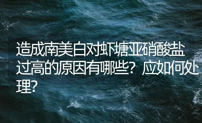 造成南美白对虾塘亚硝酸盐过高的原因有哪些？应如何处理？ | 海水养殖