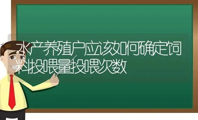 水产养殖户应该如何确定饲料投喂量投喂次数 | 动物养殖百科