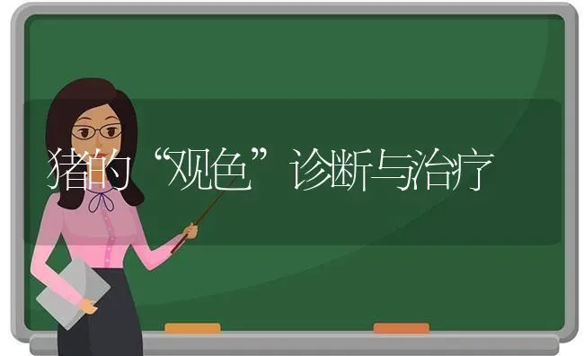 猪的“观色”诊断与治疗 | 家畜养殖